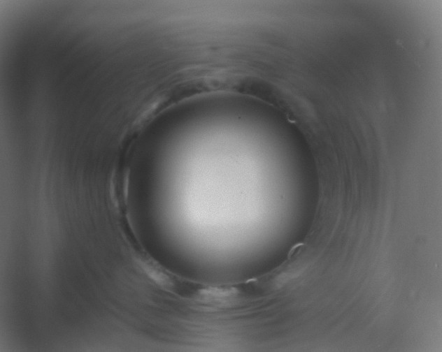 X0000054380480200508121611