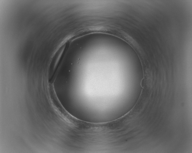X0000054380482200508121610