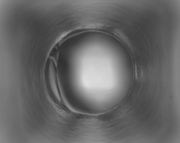X0000054380483200508121610