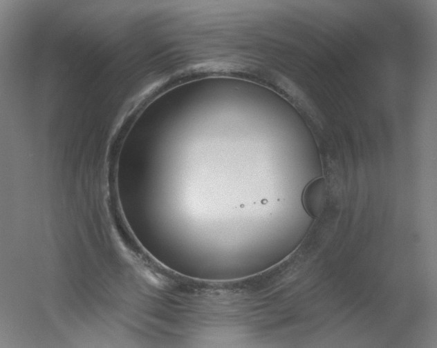 X0000054380486200508121610