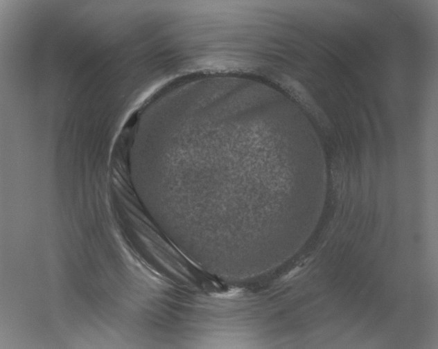 X0000054380488200508121610