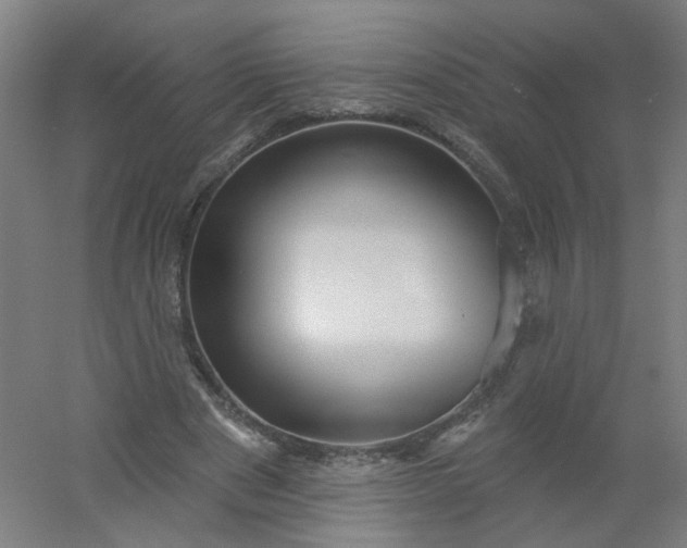 X0000054380489200508121610