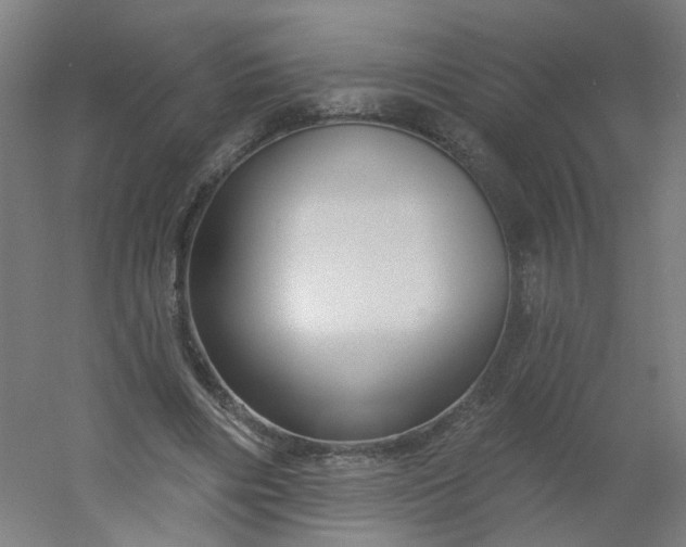 X0000054380490200508121610