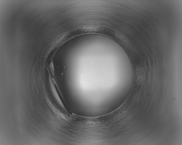 X0000054380494200508121610