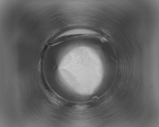 X0000054380495200508121610
