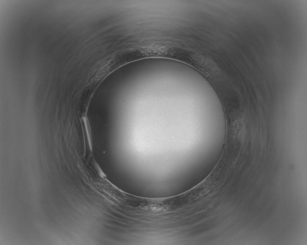 X0000054380498200508121610