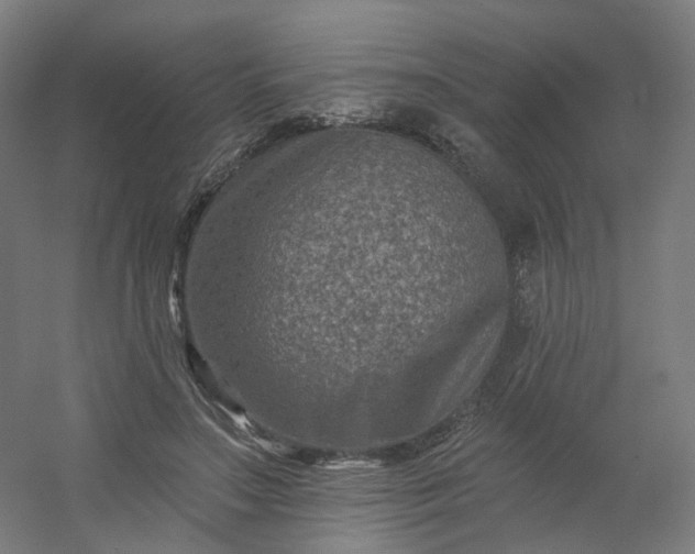 X0000054380499200508121610