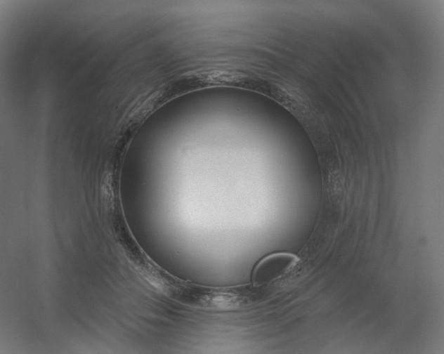 X0000054380506200508121610