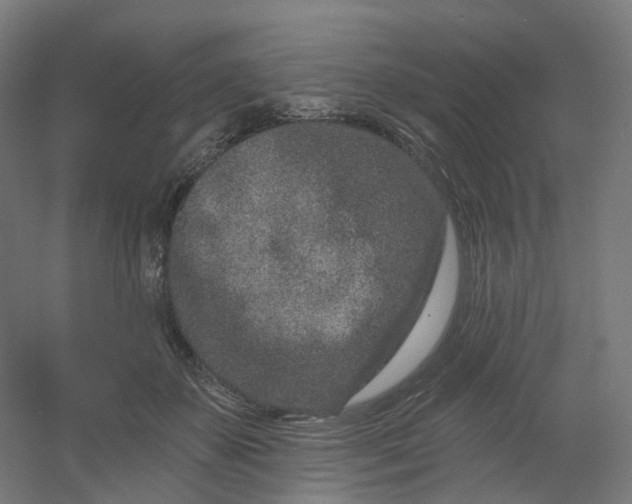 X0000054380507200508121610