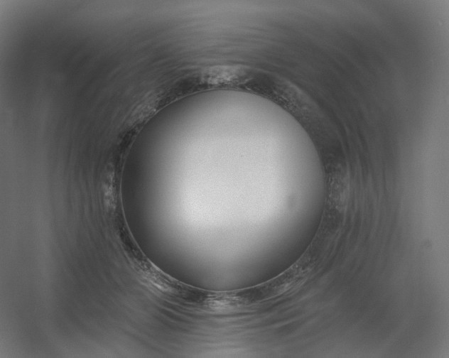 X0000054380510200508121610