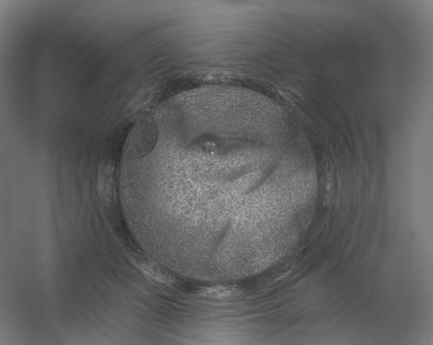 X0000054380511200508121610