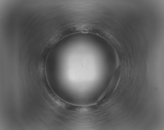 X0000054380513200508121610