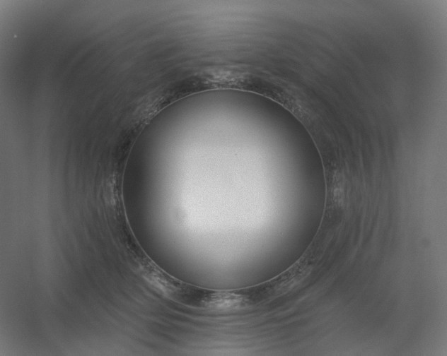 X0000054380514200508121610