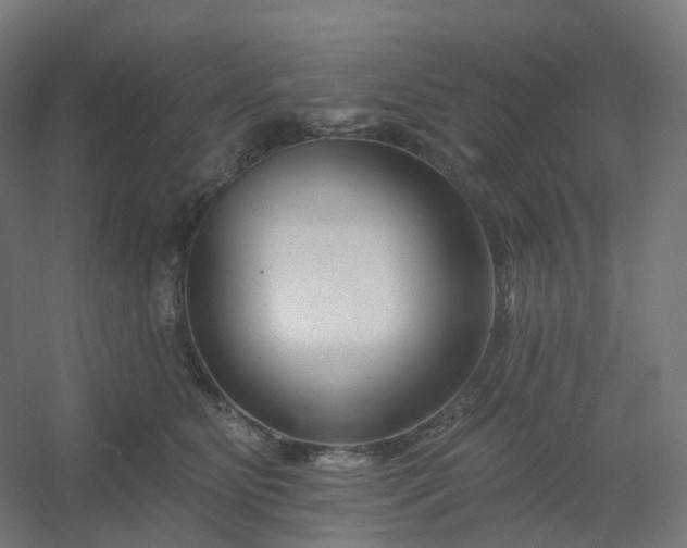X0000054380515200508121610