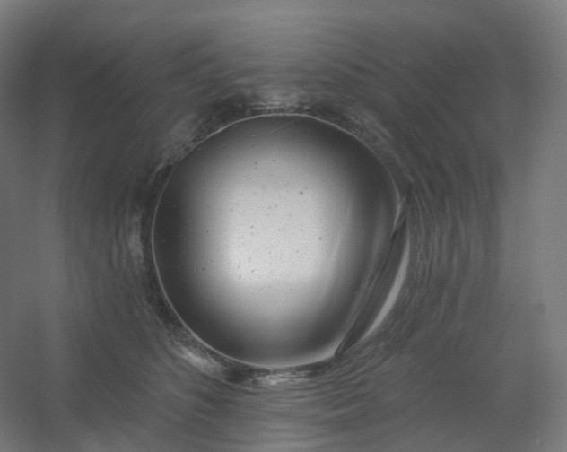 X0000054380516200508121610