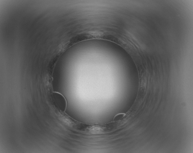 X0000054380518200508121610