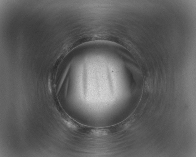 X0000054380520200508121610