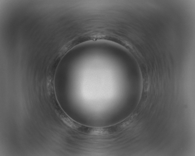 X0000054380521200508121610