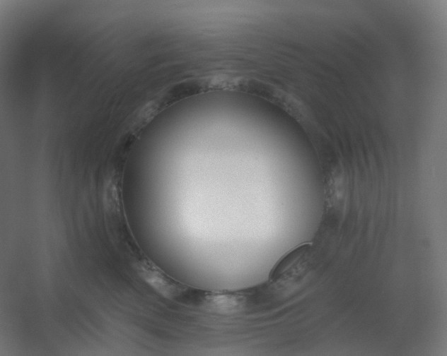 X0000054380522200508121610