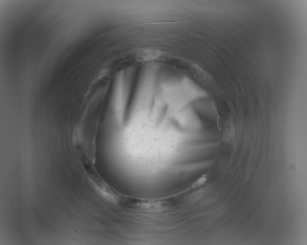 X0000054380524200508121610