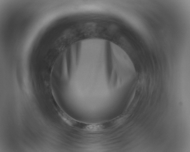 X0000054380526200508121610