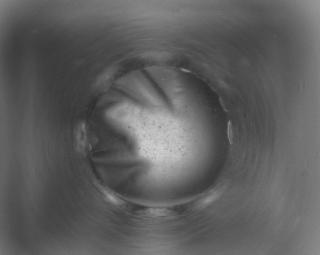 X0000054380528200508121610