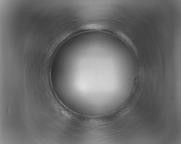 X0000054380529200508121609