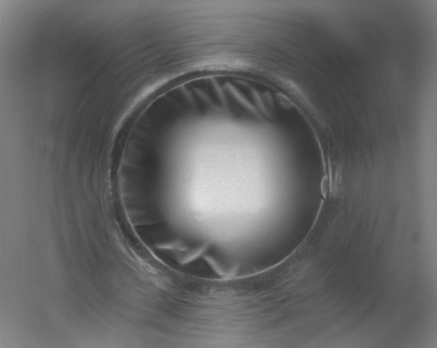 X0000054380531200508121609