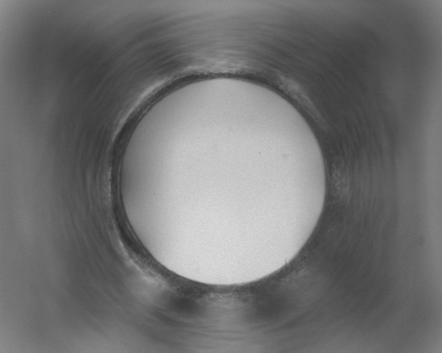 X0000054380534200508121609