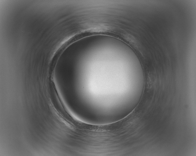 X0000054380535200508121609