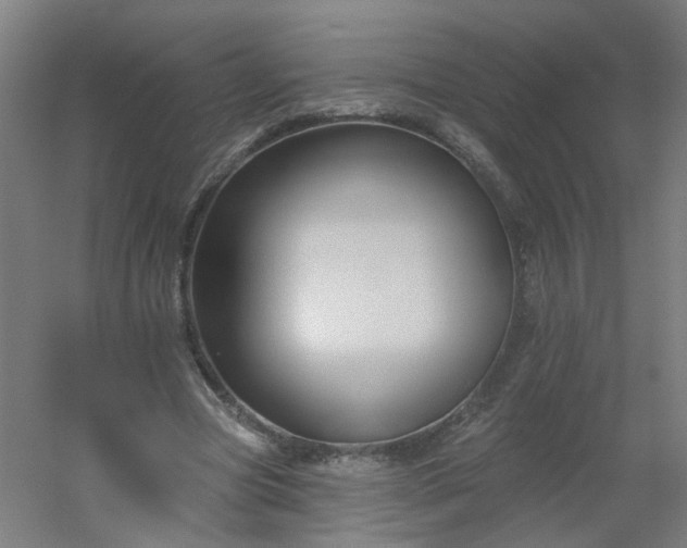 X0000054380537200508121609