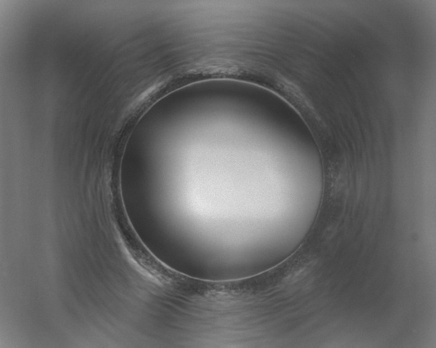 X0000054380538200508121609