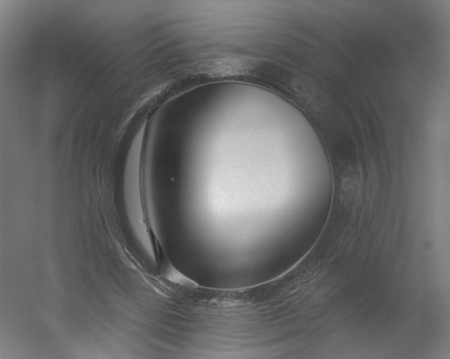 X0000054380539200508121609
