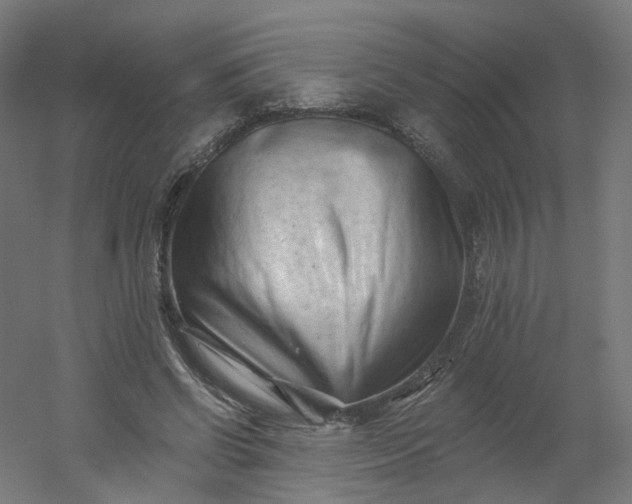 X0000054380542200508121609