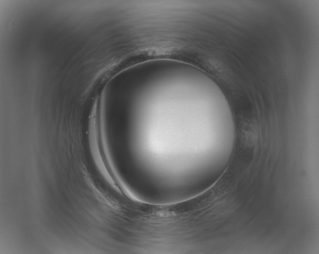 X0000054380543200508121609