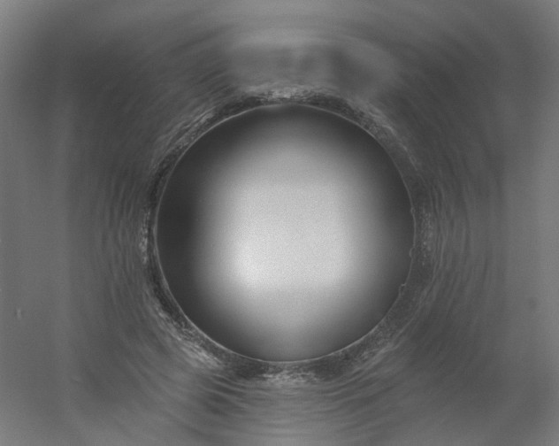 X0000054380545200508121609