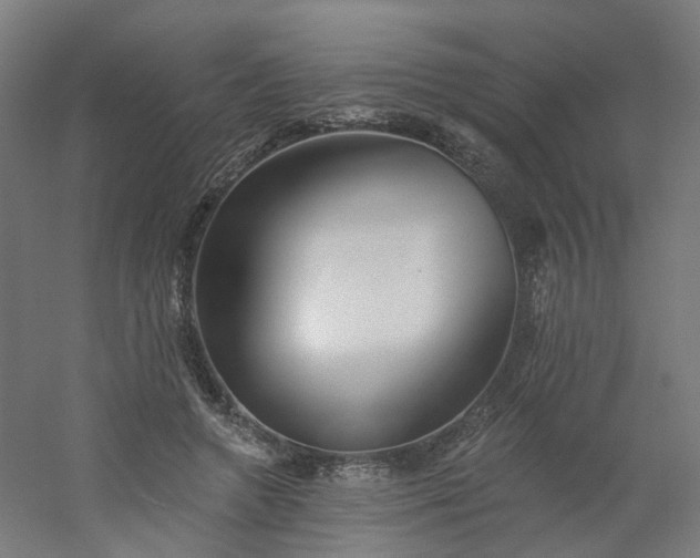 X0000054380546200508121609