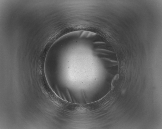 X0000054380547200508121609