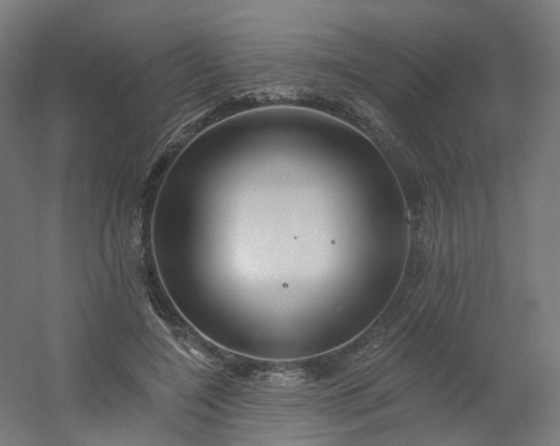 X0000054380548200508121609