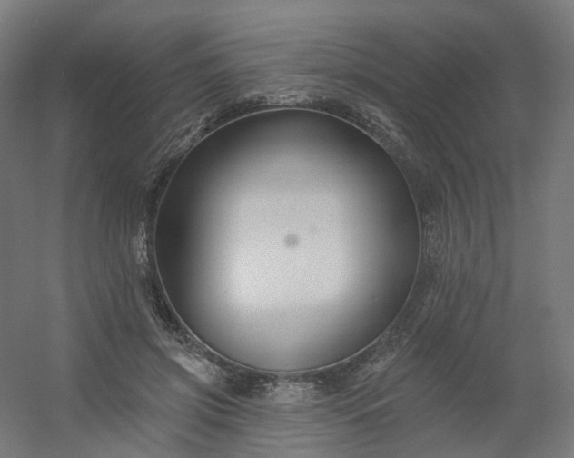 X0000054380549200508121609