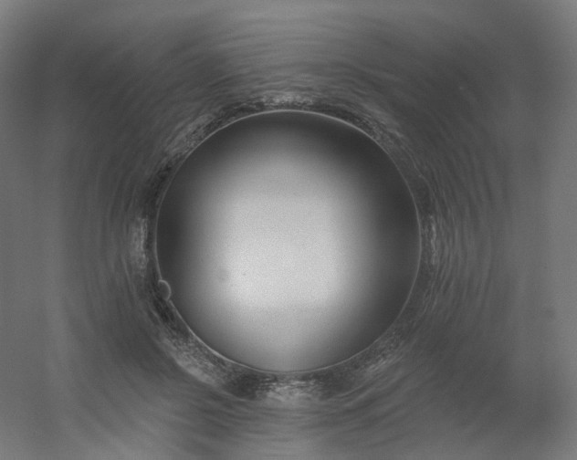 X0000054380550200508121609