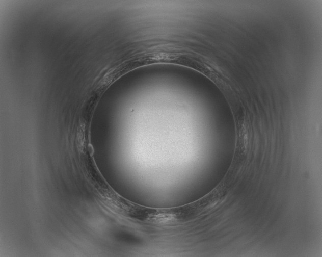 X0000054380554200508121609