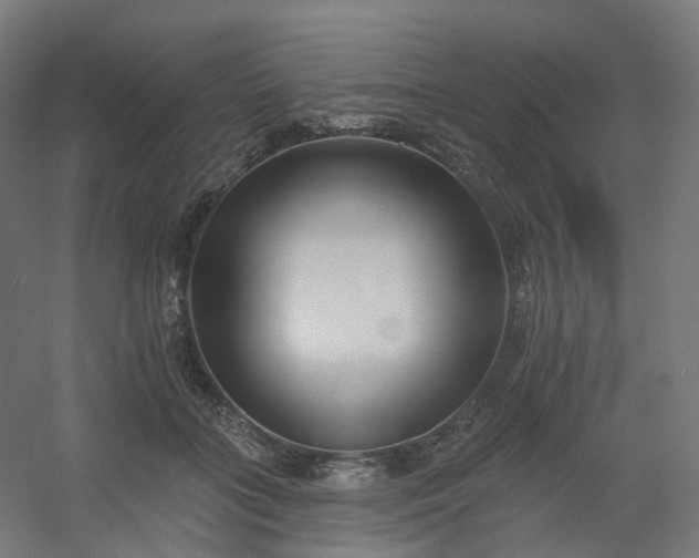 X0000054380555200508121609