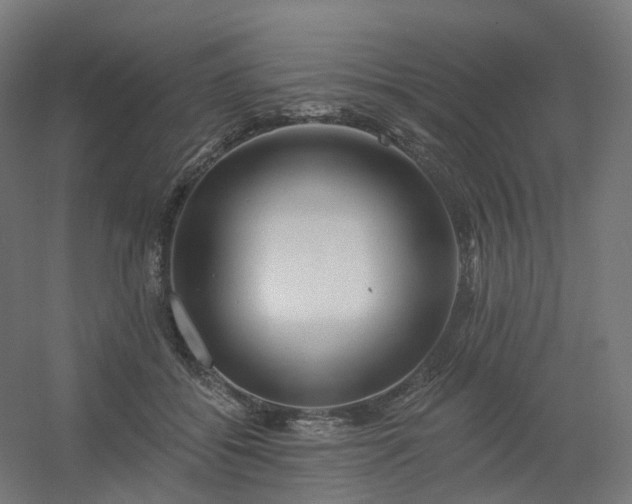 X0000054380556200508121609