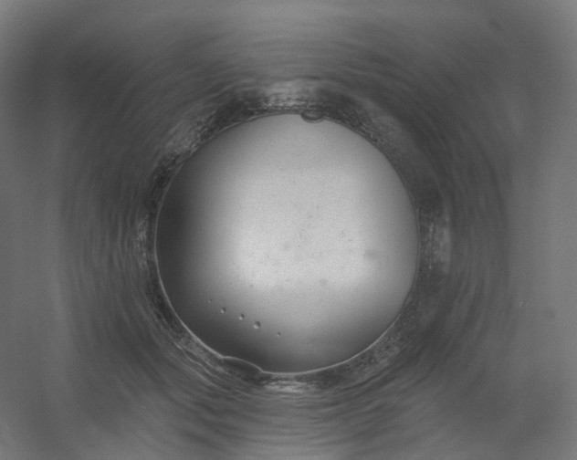 X0000054380557200508121609