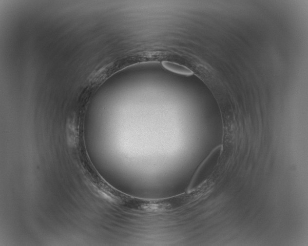 X0000054380558200508121609