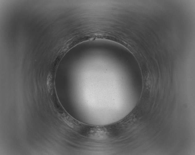 X0000054380559200508121609
