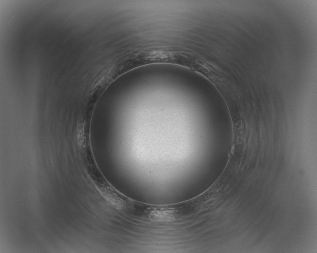 X0000054380560200508121609