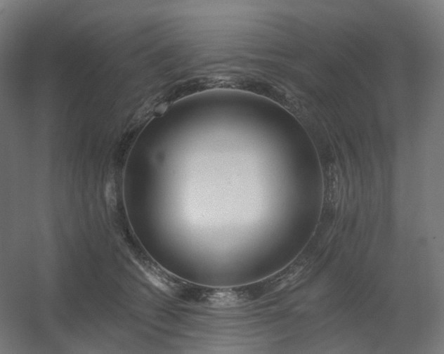 X0000054380562200508121609