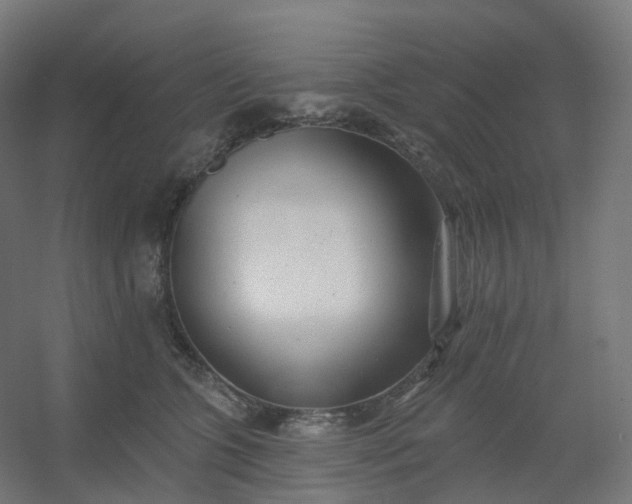 X0000054380563200508121609